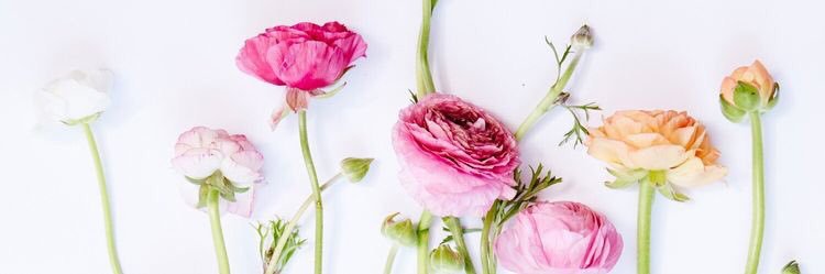_queenmoee's profile banner image