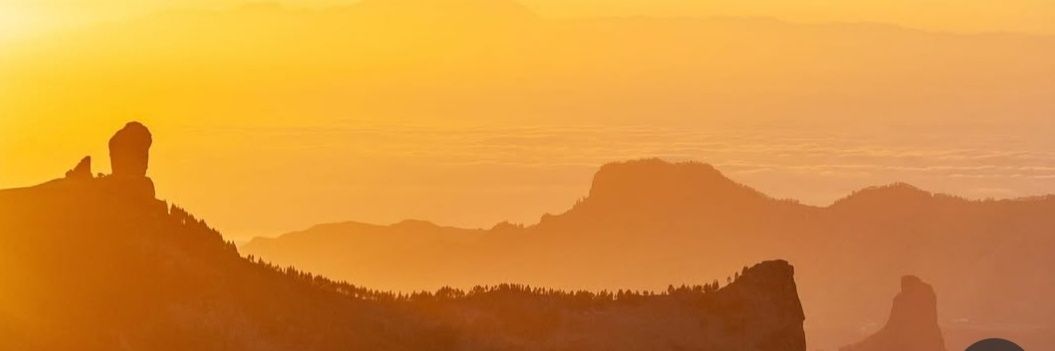 Gemma 🦚🍷🐎 banner