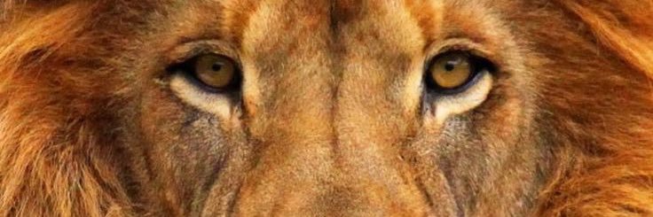 garys17's profile banner image