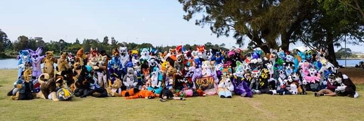 Wolfie/AKA Cookie banner