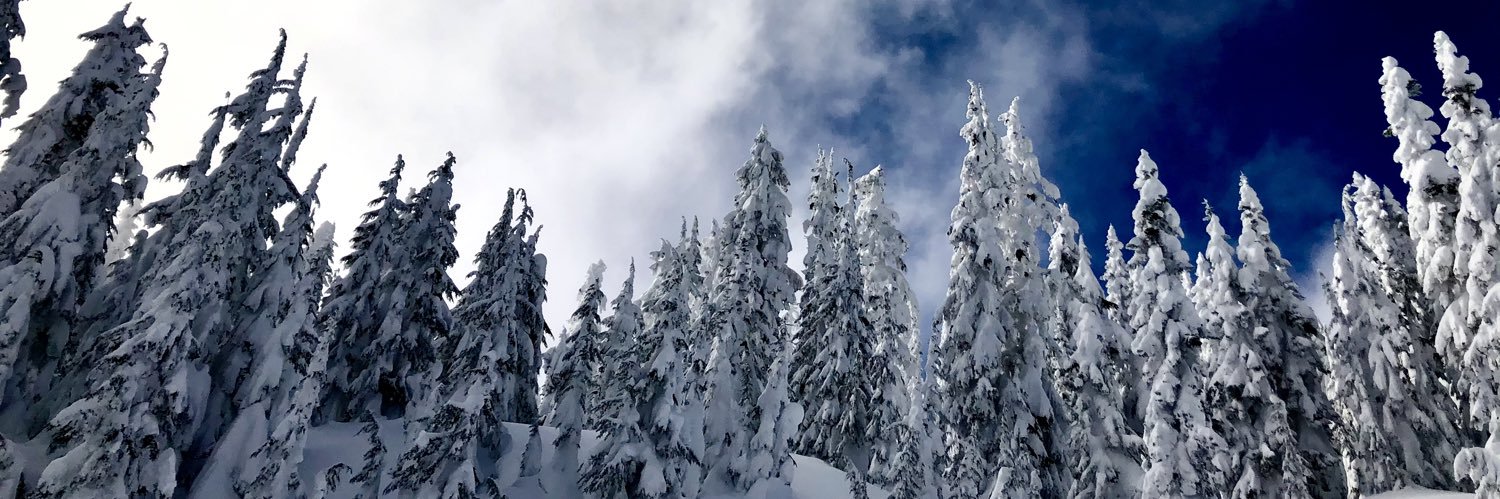 tanyamdavis's profile banner image