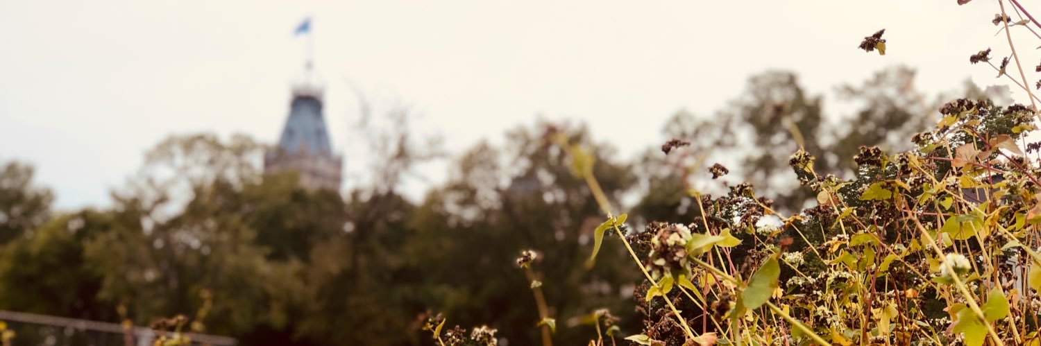 Florence Côté banner