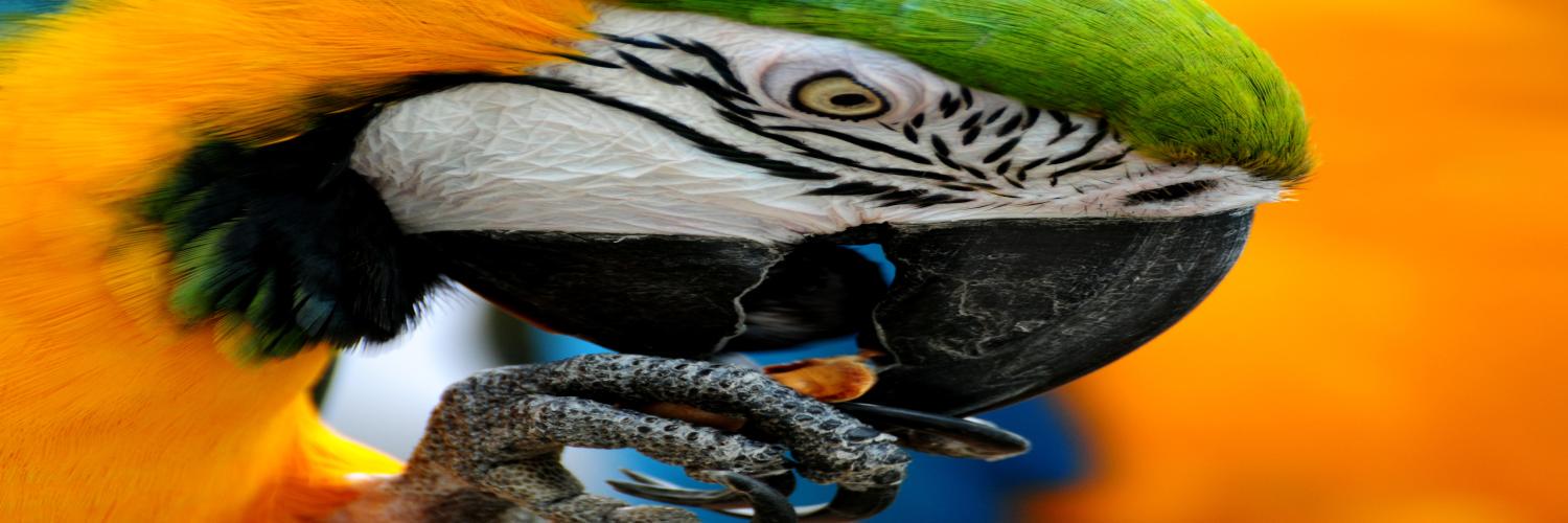 ElDrogadoDice's profile banner image