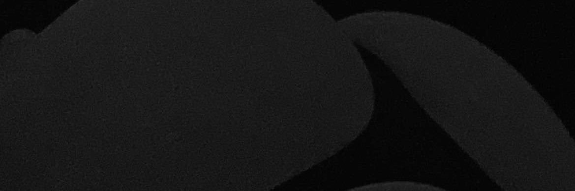 JimilyGG's profile banner image