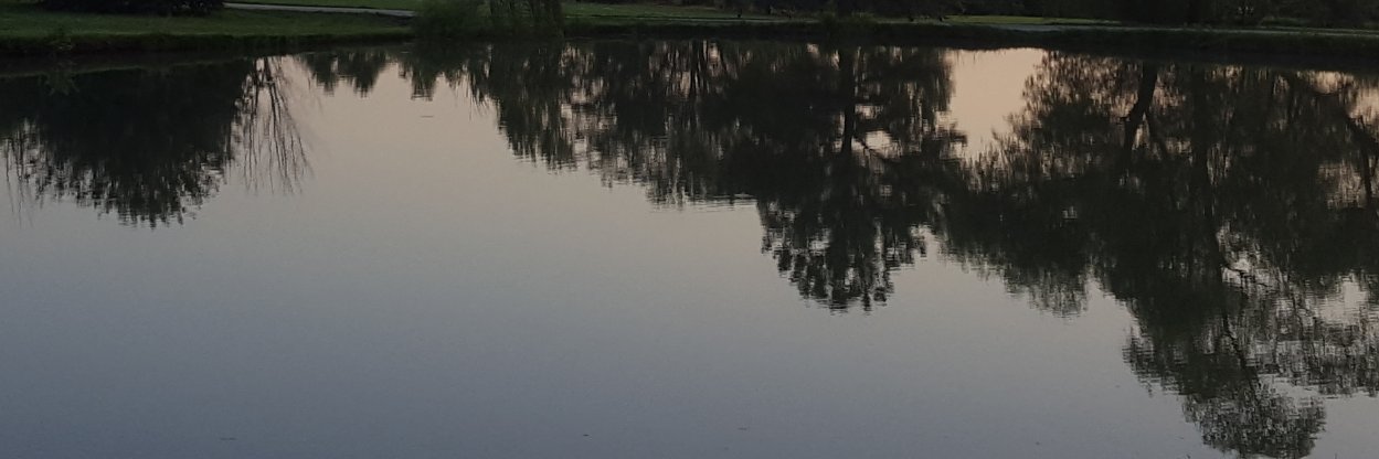MichaelMeseke's profile banner image