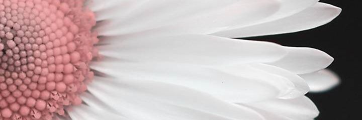 SherryK878's profile banner image