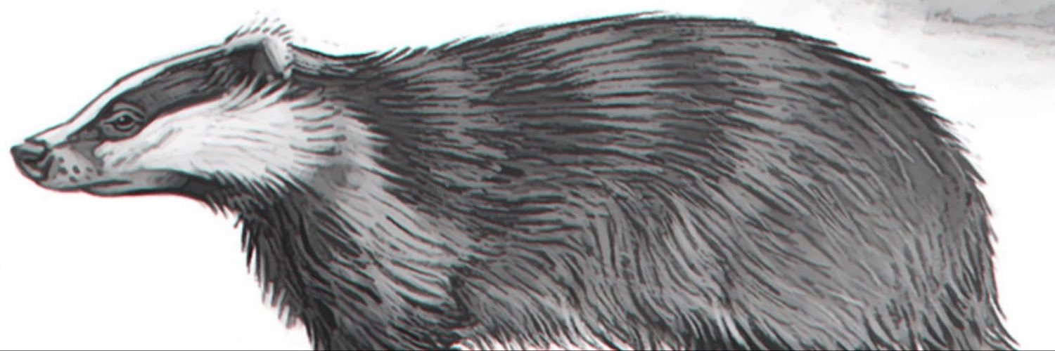 PresElectBadger's profile banner image