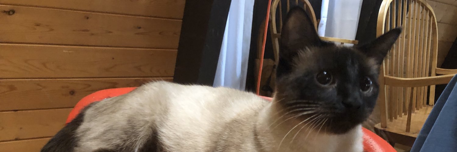 Yobillster's profile banner image
