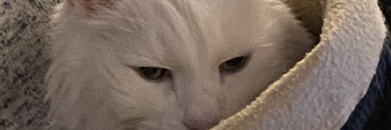 danlaval's profile banner image