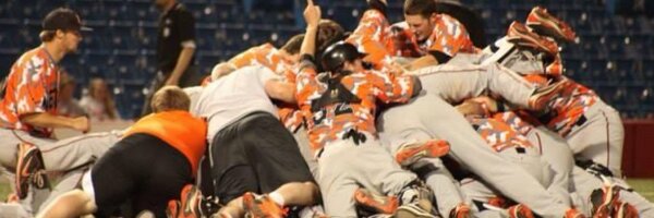 GoNeoshoBasebal Profile Banner
