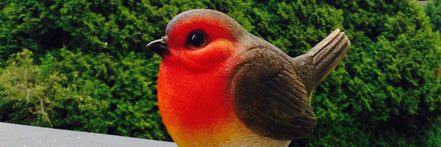 Jane_Soton's profile banner image