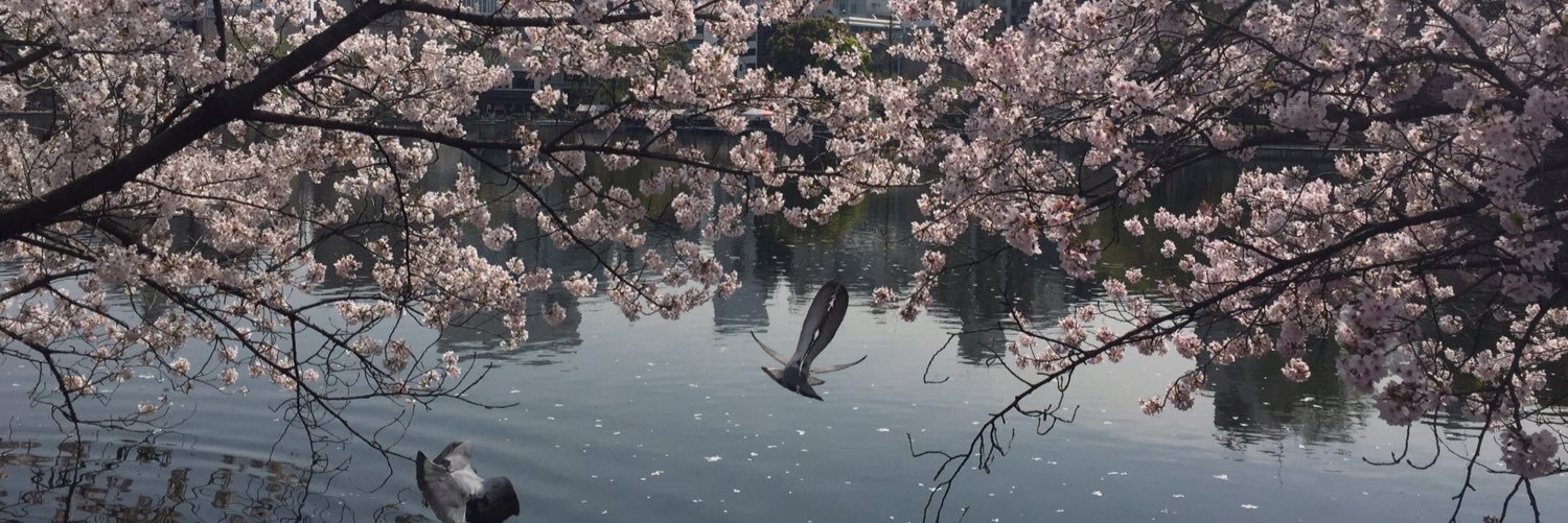Mia__Bn's profile banner image