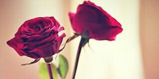nytamtam's profile banner image