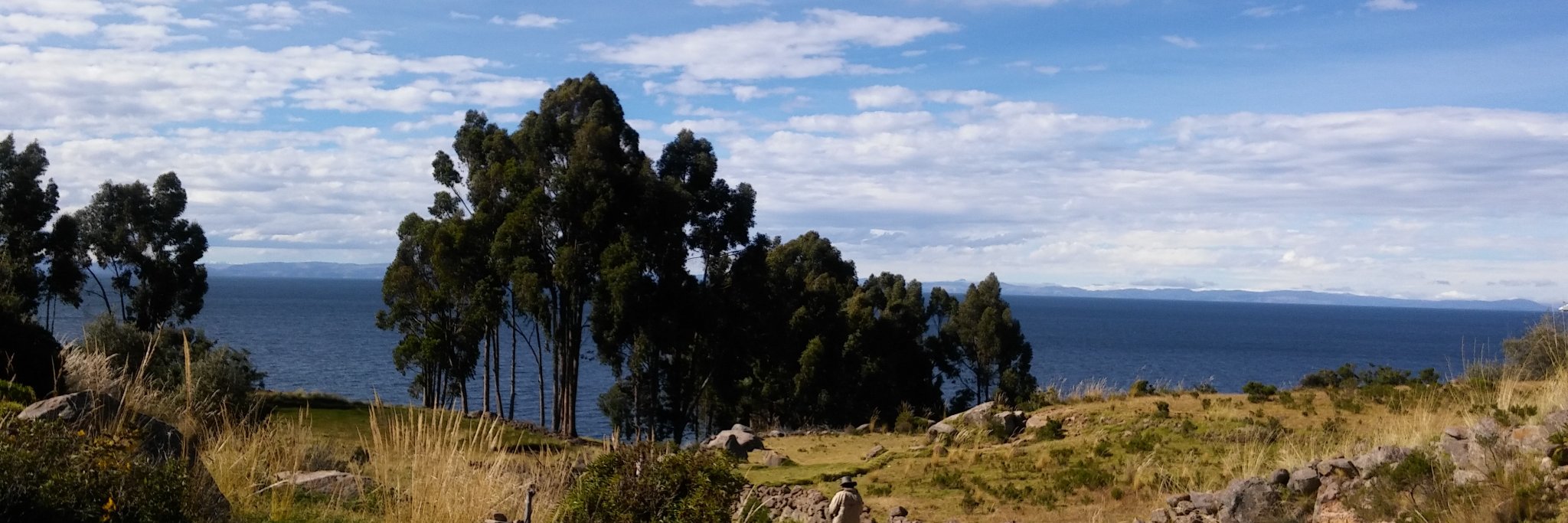 PLoaizad's profile banner image
