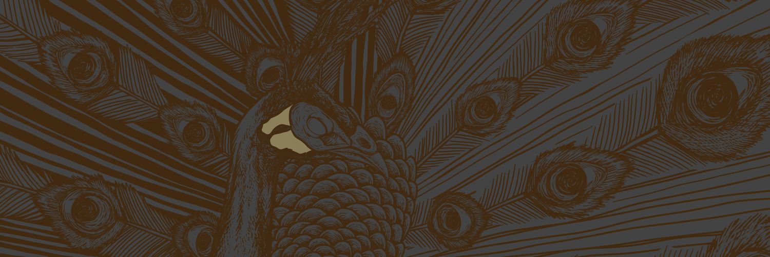 JNRZKY's profile banner image