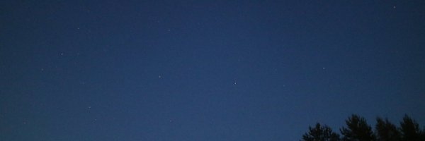 annefinn88 Profile Banner