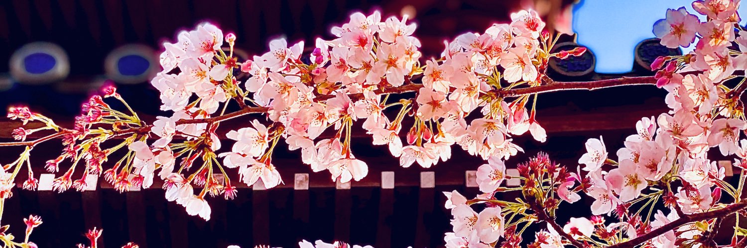 sumiooi's profile banner image