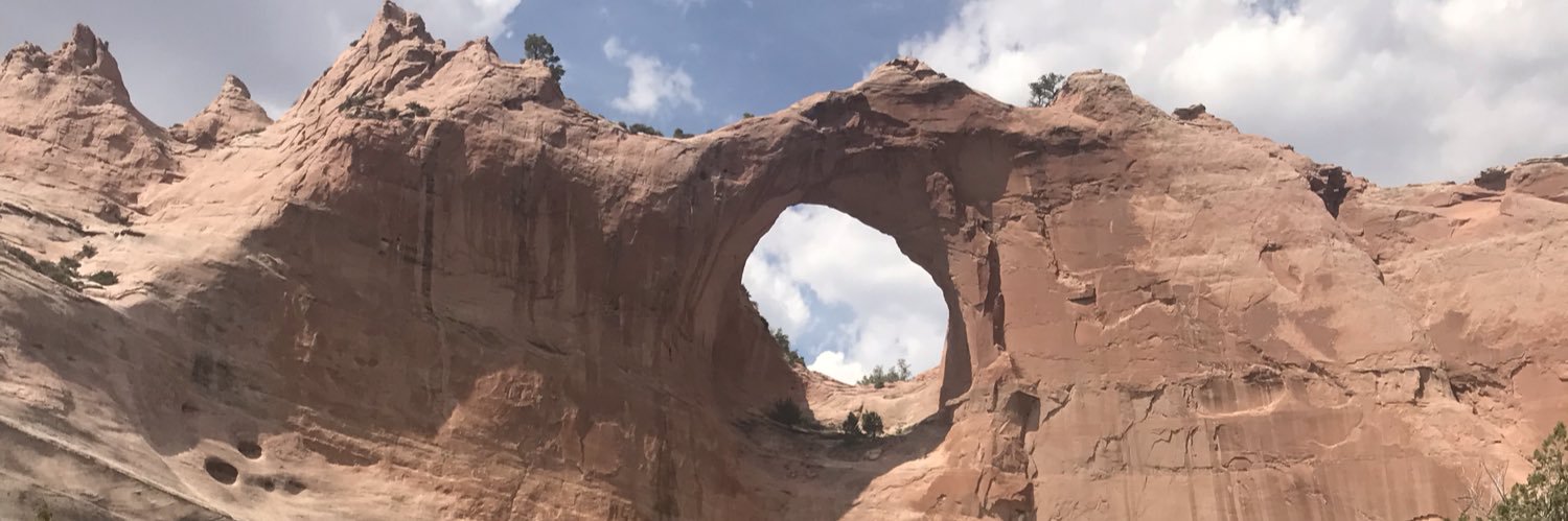 NavajoProf's profile banner image