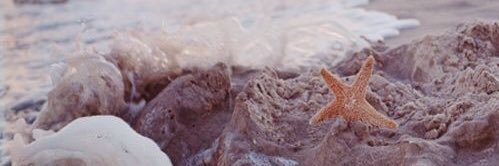 cathchrisCRE's profile banner image