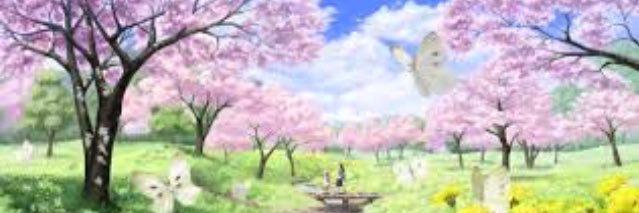 B_Lyn0206's profile banner image