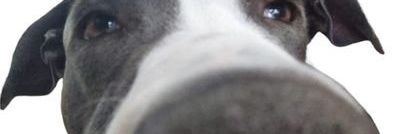 _M05E_'s profile banner image