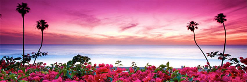 b2lka's profile banner image