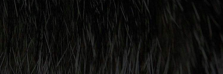 sarasorgar's profile banner image