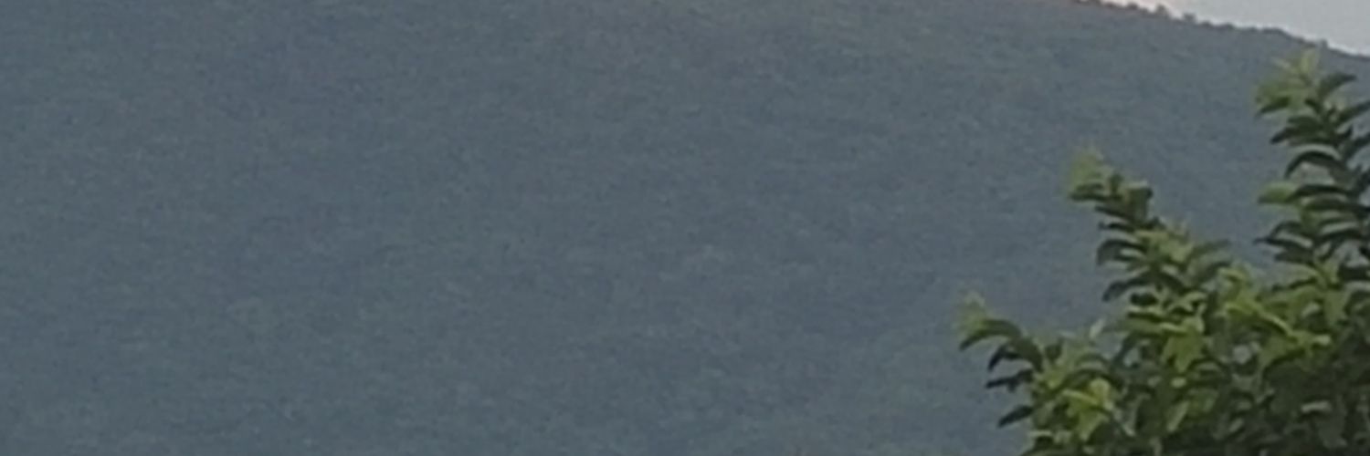 spsinghdeo's profile banner image
