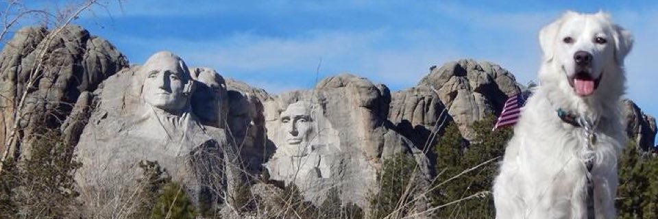 AndyinKW's profile banner image