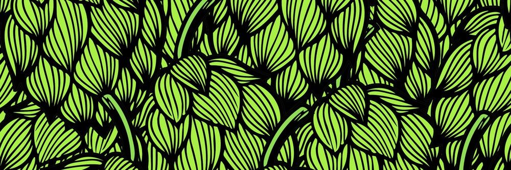 1420 banner