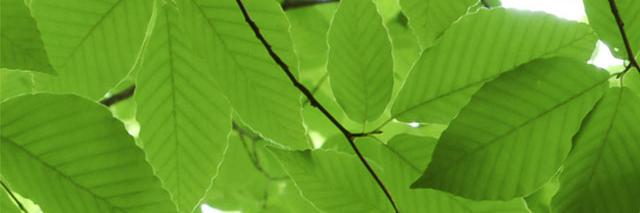 Arssi_Bali's profile banner image
