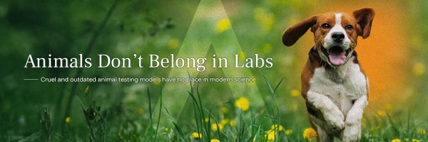 NAVS_US Profile Banner