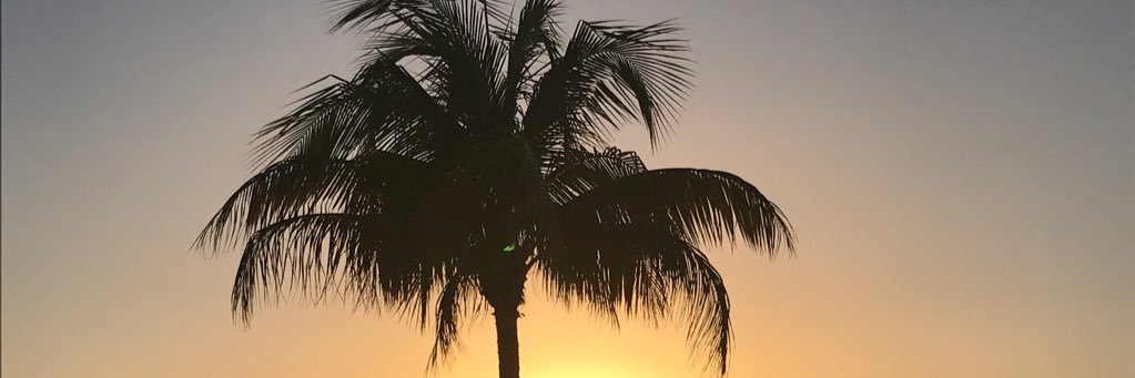 lauranoz's profile banner image