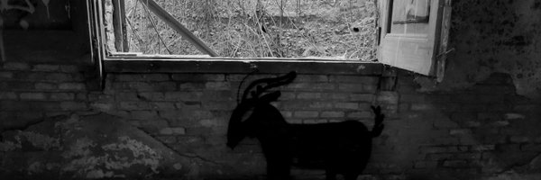 ISolanich Profile Banner