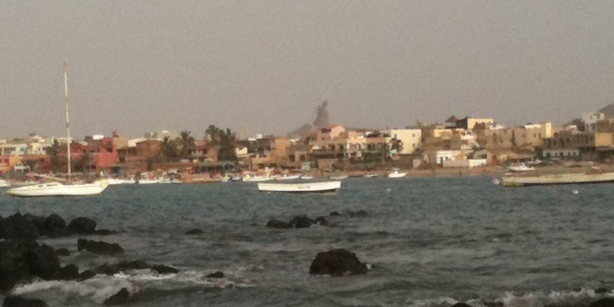 Willee Diallo banner