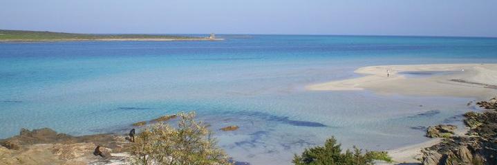 DidiMoschella's profile banner image