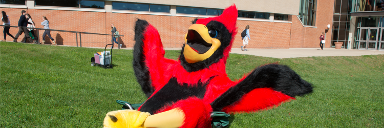 Senior Class Gift banner