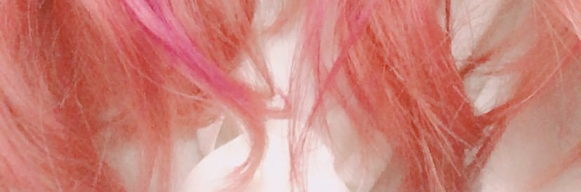 bloom_nyan's profile banner image