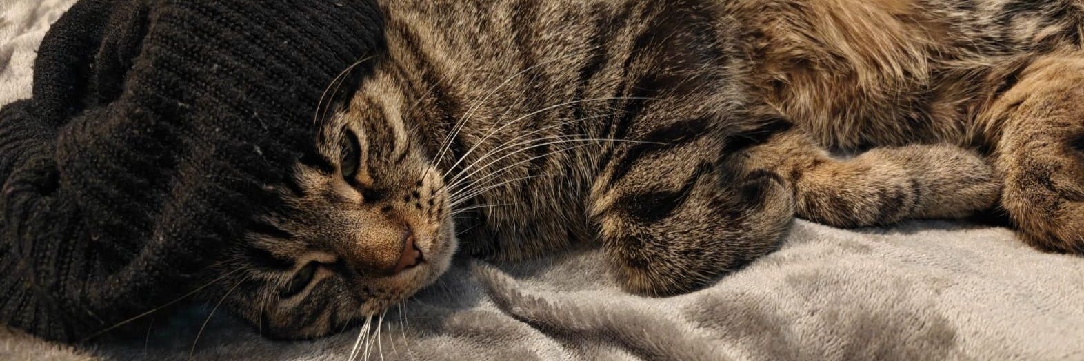 HumaraArshad's profile banner image