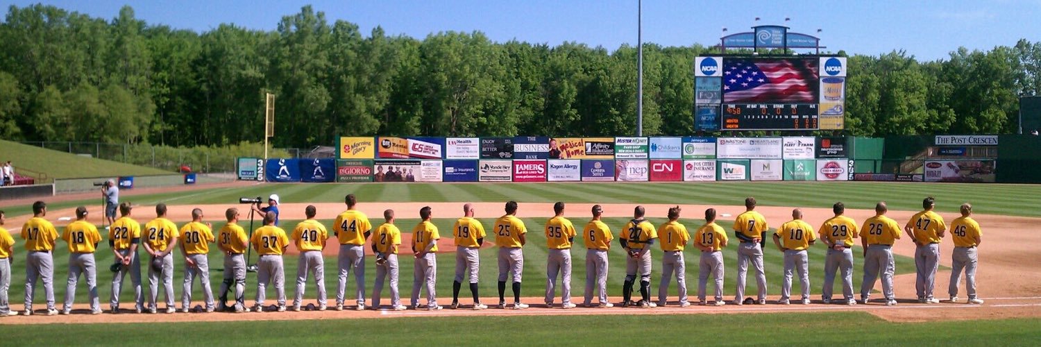 Webster Baseball banner