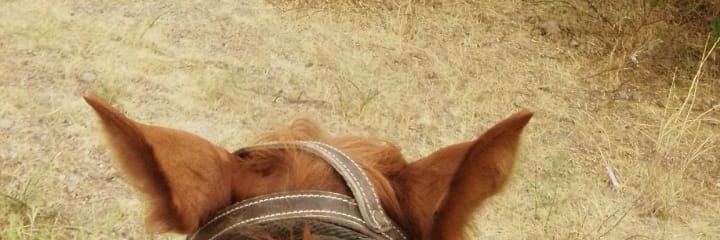 azaelfernandez's profile banner image