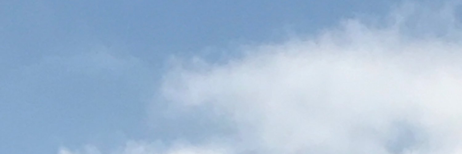 Christi A O'Donnell banner