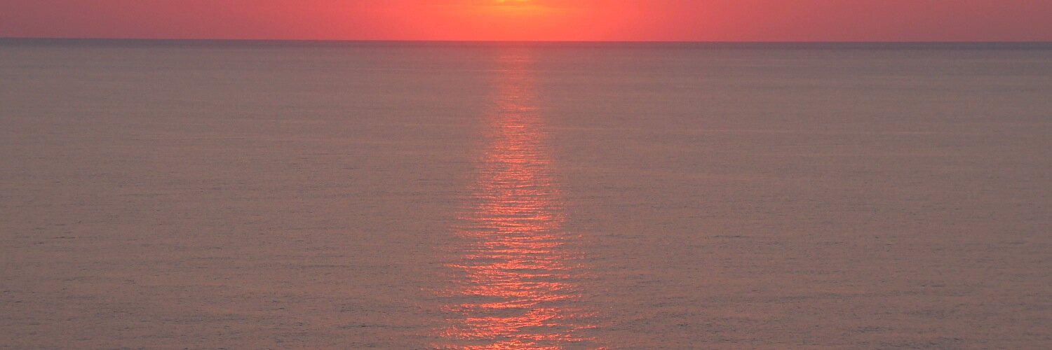 Federico Sannella banner