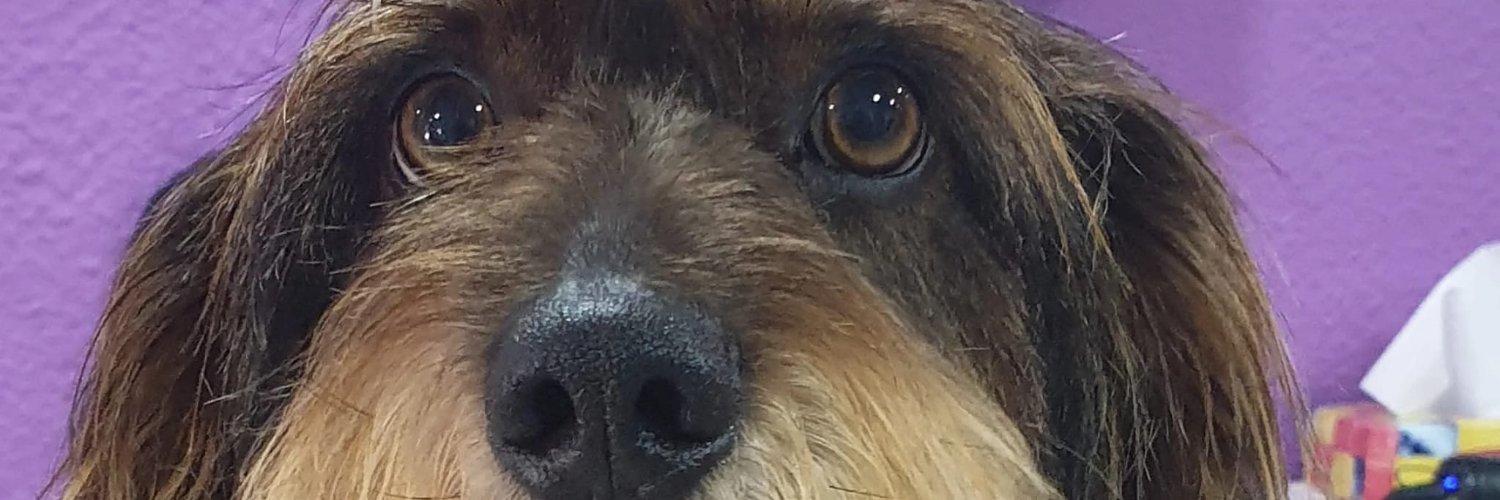 MenaceAkaYan's profile banner image