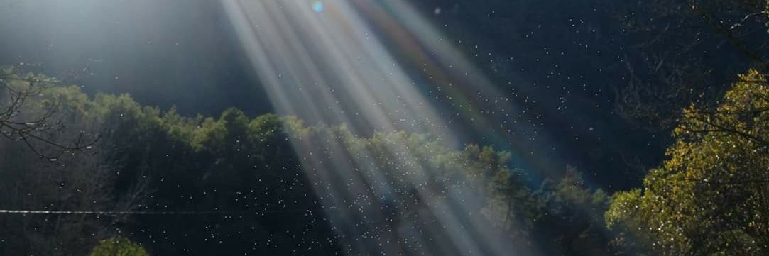 eduesru's profile banner image