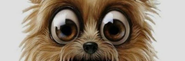 mwabini's profile banner image