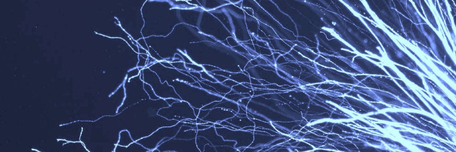 Society for Neuroscience (SfN)'s banner