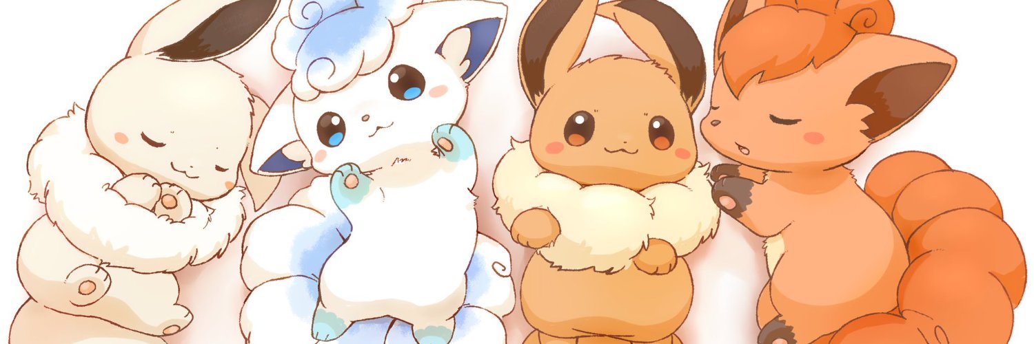 チャッピー🦊🐾's banner