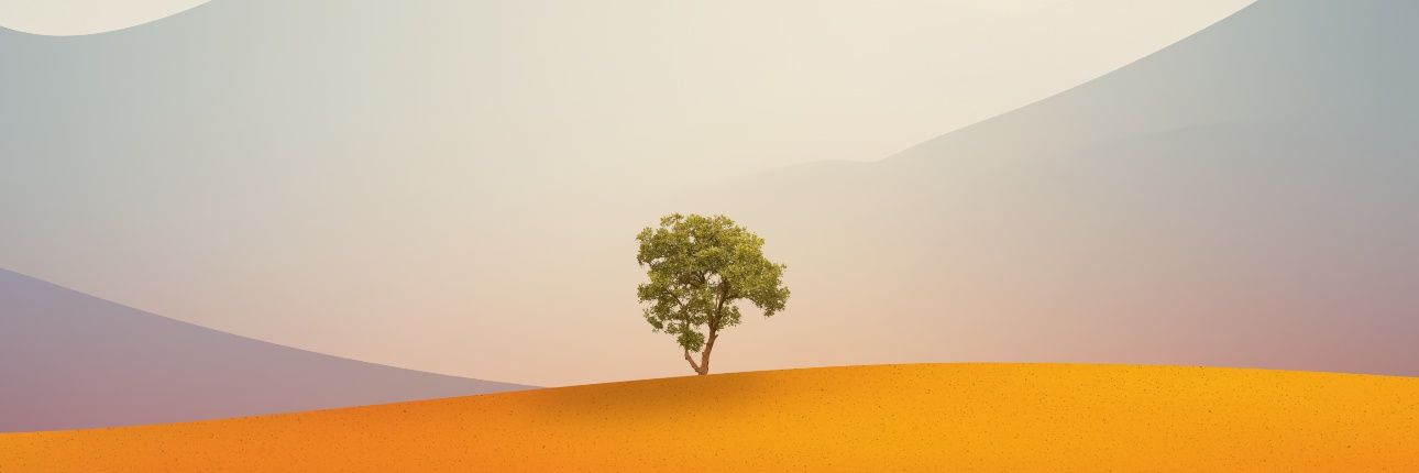 gobblo's profile banner image