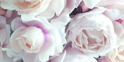 _Amberoskam's profile banner image